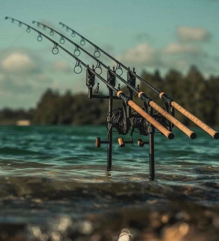 Hengelsport in Barendrecht